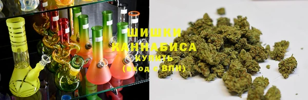 ПСИЛОЦИБИНОВЫЕ ГРИБЫ Ельня