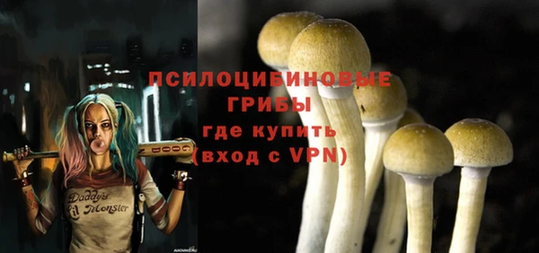 дурь Белоозёрский