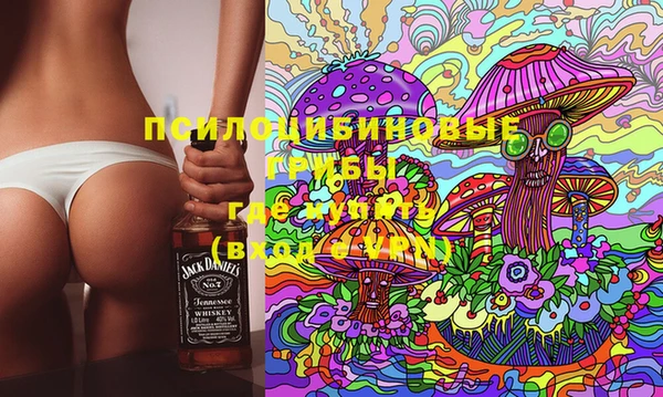 a pvp Богородск